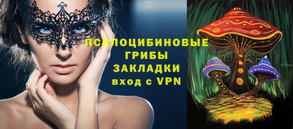 гашик Балахна