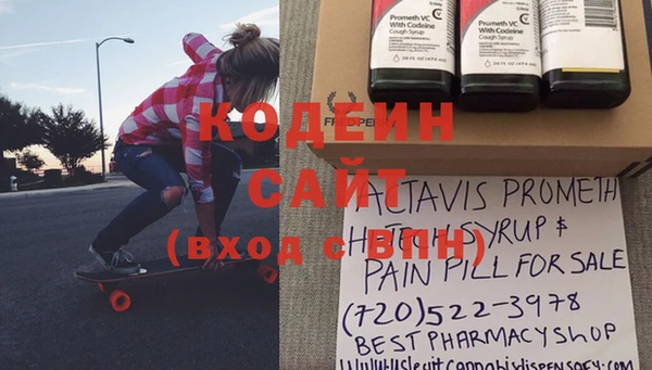 гашик Балахна