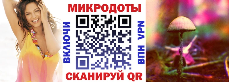 цена наркотик  Сегежа  Галлюциногенные грибы Cubensis 